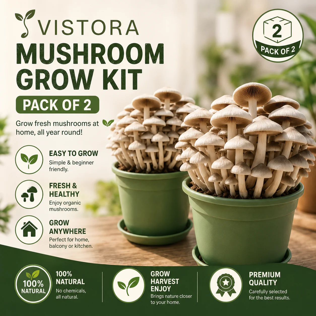 Premium Organic Mushroom Harvest Kit | BUY 1 GET 1 FREE