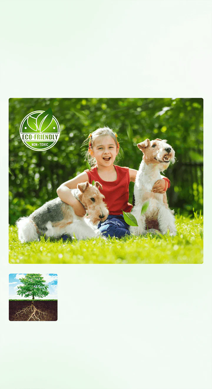 Instant Root Death (Made in DUBAI) Buy 1 Get 1 Free