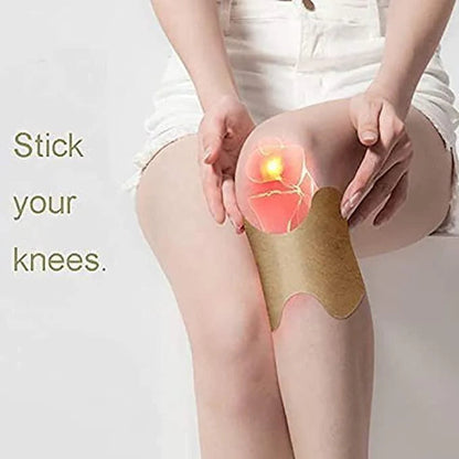 Japanese Herbal Knee Pain Relief Patch (Pack of 20)