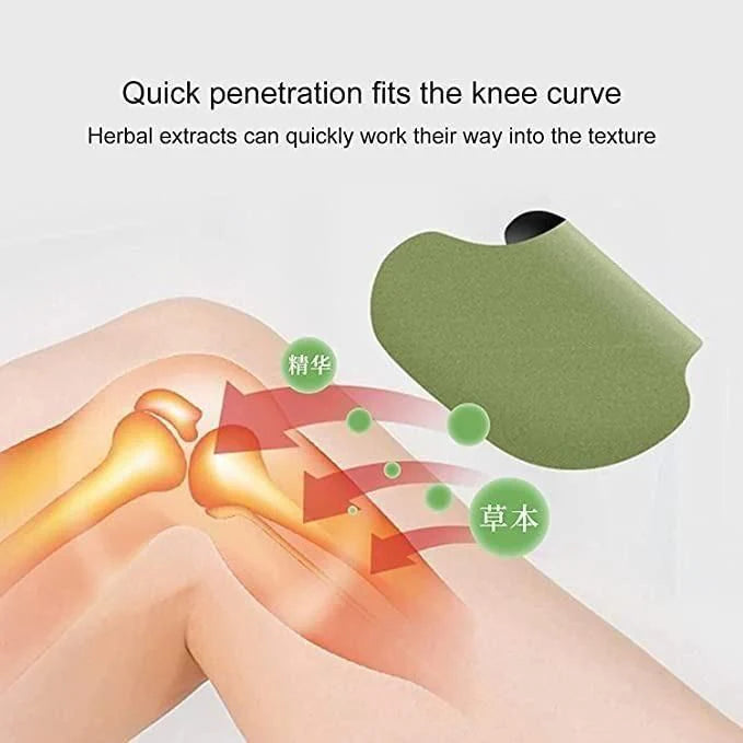 Japanese Herbal Knee Pain Relief Patch (Pack of 20)