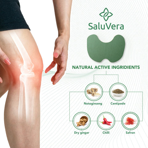 Japanese Herbal Knee Pain Relief Patch (Pack of 20)