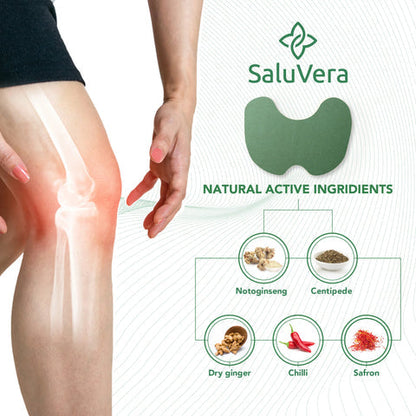 Japanese Herbal Knee Pain Relief Patch (Pack of 20)