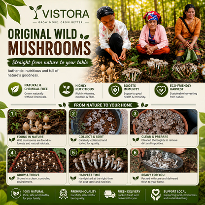 Premium Organic Mushroom Harvest Kit | BUY 1 GET 1 FREE