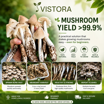 Premium Organic Mushroom Harvest Kit | BUY 1 GET 1 FREE