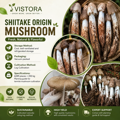 Premium Organic Mushroom Harvest Kit | BUY 1 GET 1 FREE