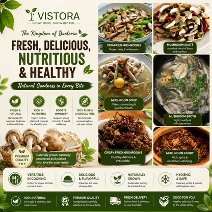 Premium Organic Mushroom Harvest Kit | BUY 1 GET 1 FREE