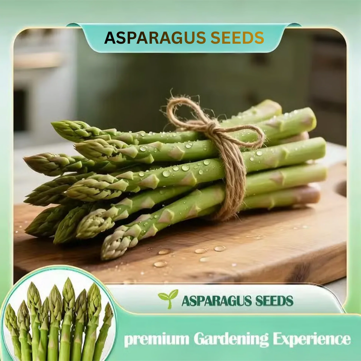 Grow Your Own Asparagus from Seeds | 🔥Buy 1 Get 1 Free🔥