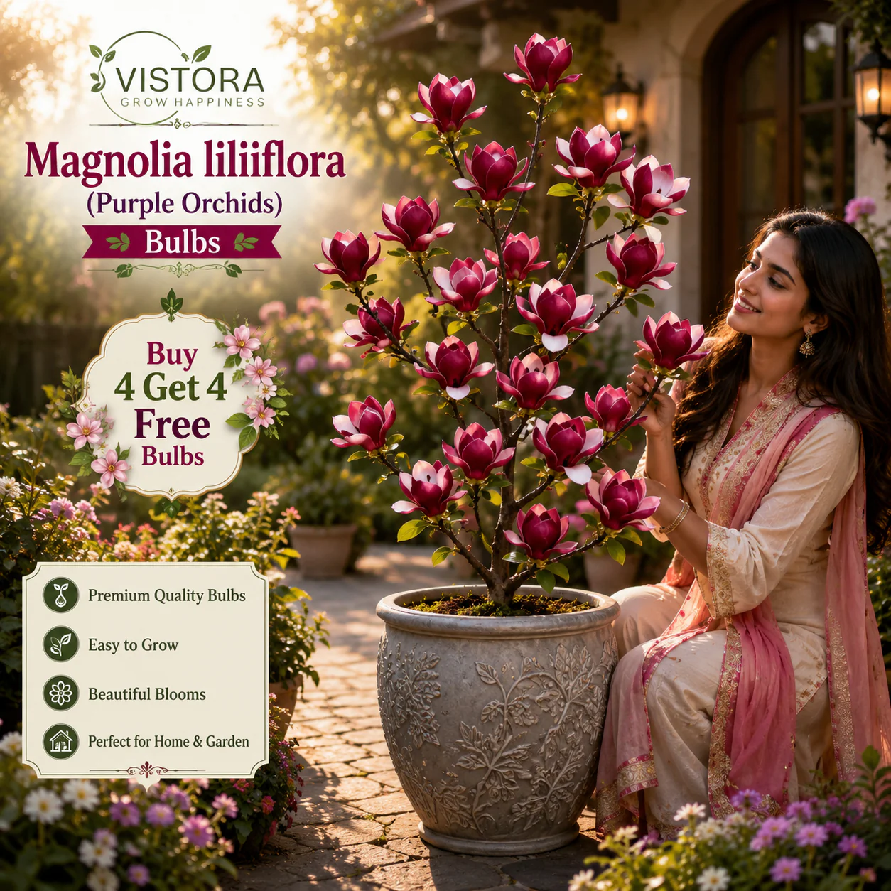 Magnolia liliiflora Bulbs Flowers, Fragrance Fills the Air | Mega 100 Packs